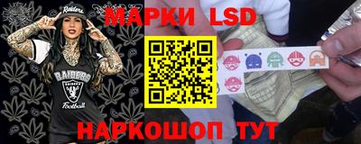 дурь Камышлов