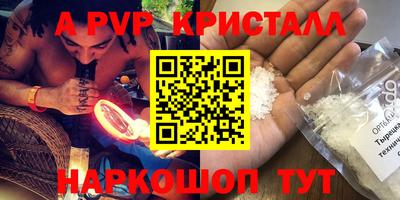 ECSTASY Канаш