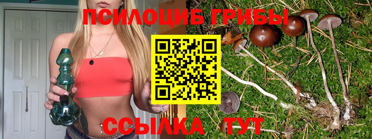 дарнет шоп  Псилоцибиновые грибы Magic Shrooms  Псилоцибиновые грибы Psilocybe  Вход с VPN  Ливны 