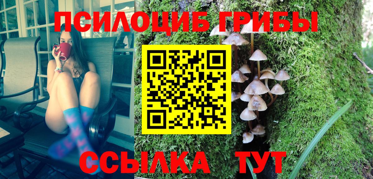 Галлюциногенные грибы Psilocybine cubensis Ливны